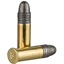 22LR Ammo